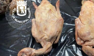 Cierran un restaurante chino en Madrid con comida podrida, cucarachas y palomas desplumadas servidas como pato a la pekinesa
