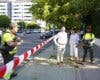 Torrejón intensifica el desbroce de alcorques en todos los barrios tras las lluvias