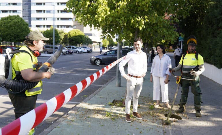 Torrejón intensifica el desbroce de alcorques en todos los barrios tras las lluvias