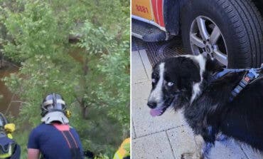 Rescatada una mujer en Madrid tras lanzarse al Manzanares para salvar a su perro