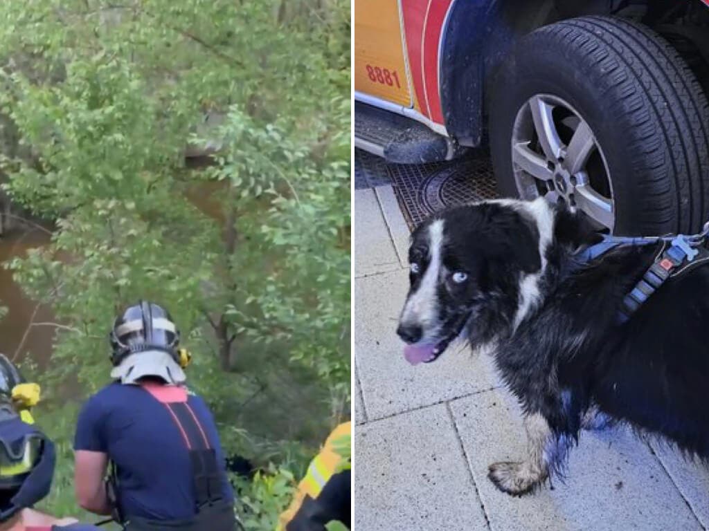 Rescatada una mujer en Madrid tras lanzarse al Manzanares para salvar a su perro