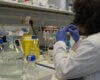La sanidad pública madrileña, pionera mundial al tratar con éxito una enfermedad rara con terapia CAR-T