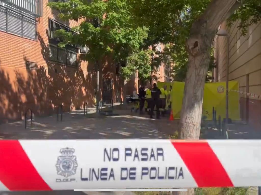 Detenido un hombre por matar a una mujer en un parque de San Blas tras una discusión entre toxicómanos
