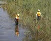 Madrid refuerza los trabajos para combatir la mosca negra en el río Manzanares