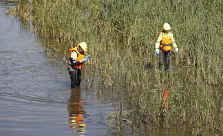 Madrid refuerza los trabajos para combatir la mosca negra en el río Manzanares