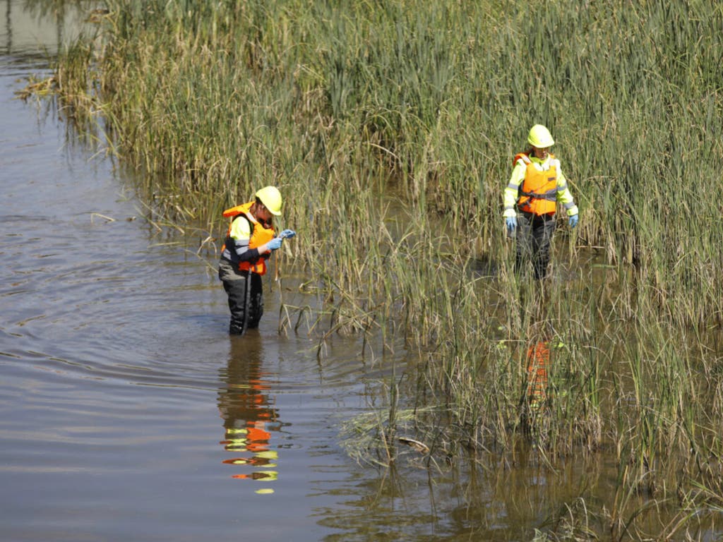 Madrid refuerza los trabajos para combatir la mosca negra en el río Manzanares