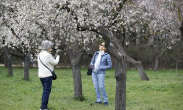 Vuelven las visitas guiadas de Pasea Madrid con nuevas temáticas y 22.000 plazas gratuitas