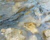 Miles de peces mueren asfixiados y Sacedón acusa a la Confederación del Tajo de un atentado ecológico