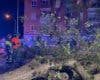 Herido grave un joven de 25 años tras caerle encima una rama de un árbol en Carabanchel