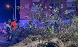 Herido grave un joven de 25 años tras caerle encima una rama de un árbol en Carabanchel