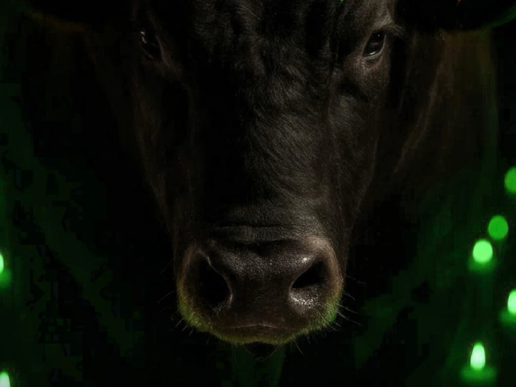 PACMA convoca la concentración «San Isidro Compasión» en Madrid contra la tauromaquia