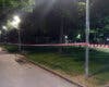 Azuqueca fumiga de madrugada un parque tras una alerta por garrapatas
