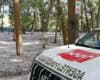La Comunidad de Madrid vigila las acumulaciones de pelusa de chopo para prevenir incendios