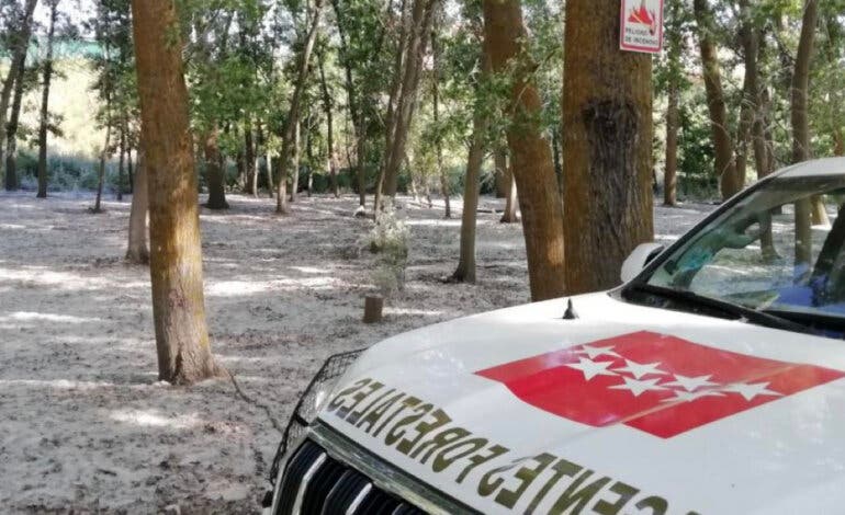 La Comunidad de Madrid vigila las acumulaciones de pelusa de chopo para prevenir incendios