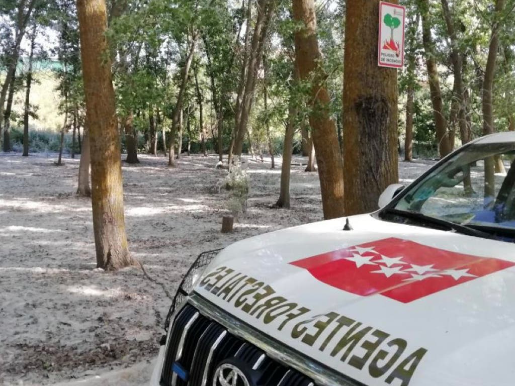 La Comunidad de Madrid vigila las acumulaciones de pelusa de chopo para prevenir incendios