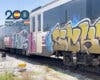 Detenidos en Torrejón y otras localidades los presuntos autores de 287 grafitis en trenes
