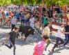 Vuelven los toros a Torrejón con tres encierros y un cartel top para las fiestas