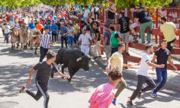 Vuelven los toros a Torrejón con tres encierros y un cartel top para las fiestas
