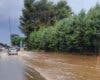 Rescates, inundaciones y árboles caídos en Guadalajara por la tormenta con granizo