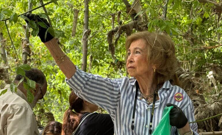 La reina Sofía participa en la limpieza del río Jarama en San Fernando de Henares