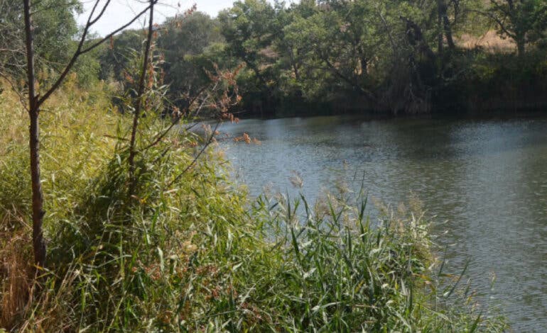Detenido en Alcalá de Henares tras agredir a una mujer e intentar huir nadando por el río
