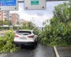 Cae un árbol sobre un coche en la M-30 en plena tormenta
