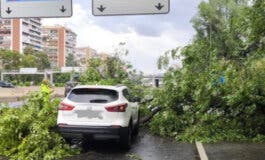 Cae un árbol sobre un coche en la M-30 en plena tormenta