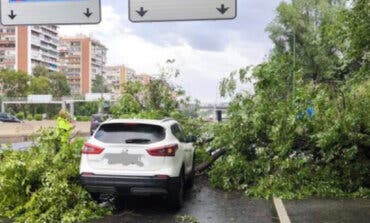 Cae un árbol sobre un coche en la M-30 en plena tormenta