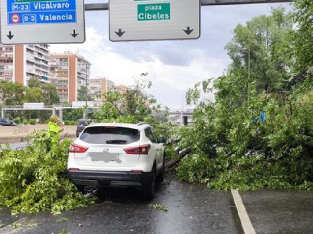 Cae un árbol sobre un coche en la M-30 en plena tormenta