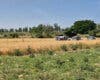 Localizada una anciana de 92 años desaparecida en Patones tras pasar la noche en mitad del campo
