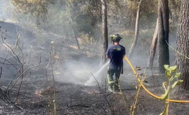 Un incendio junto al Hospital Clínico de Madrid calcina 2,5 hectáreas de vegetación