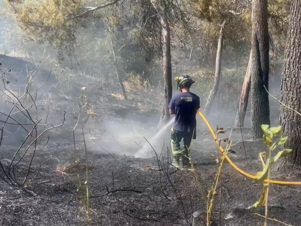Un incendio junto al Hospital Clínico de Madrid calcina 2,5 hectáreas de vegetación