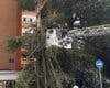 Una fuerte tormenta de viento deja más de 400 incidencias en la Comunidad de Madrid