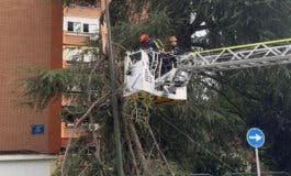 Una fuerte tormenta de viento deja más de 400 incidencias en la Comunidad de Madrid