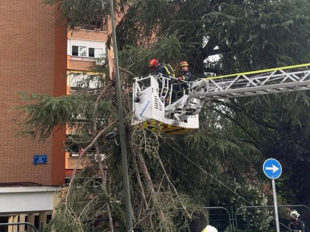 Una fuerte tormenta de viento deja más de 400 incidencias en la Comunidad de Madrid