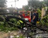 Herida grave una mujer en Madrid tras caerle un árbol encima durante la tormenta