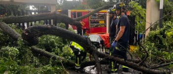Herida grave una mujer en Madrid tras caerle un árbol encima durante la tormenta