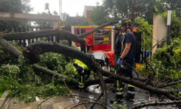 Herida grave una mujer en Madrid tras caerle un árbol encima durante la tormenta