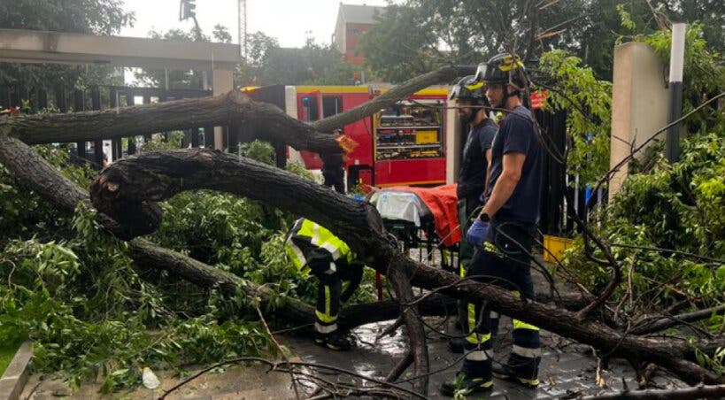 Herida grave una mujer en Madrid tras caerle un árbol encima durante la tormenta