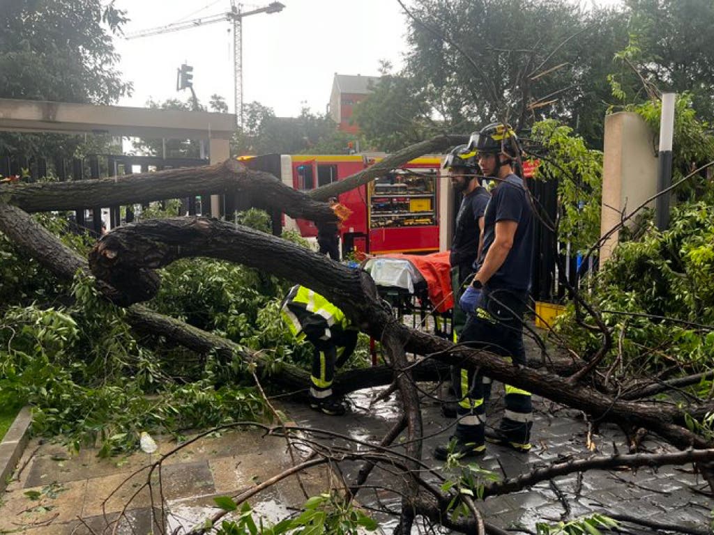 Herida grave una mujer en Madrid tras caerle un árbol encima durante la tormenta