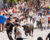Vuelven los encierros de las Fiestas de Torrejón: horarios, normas y todo lo que necesitas saber