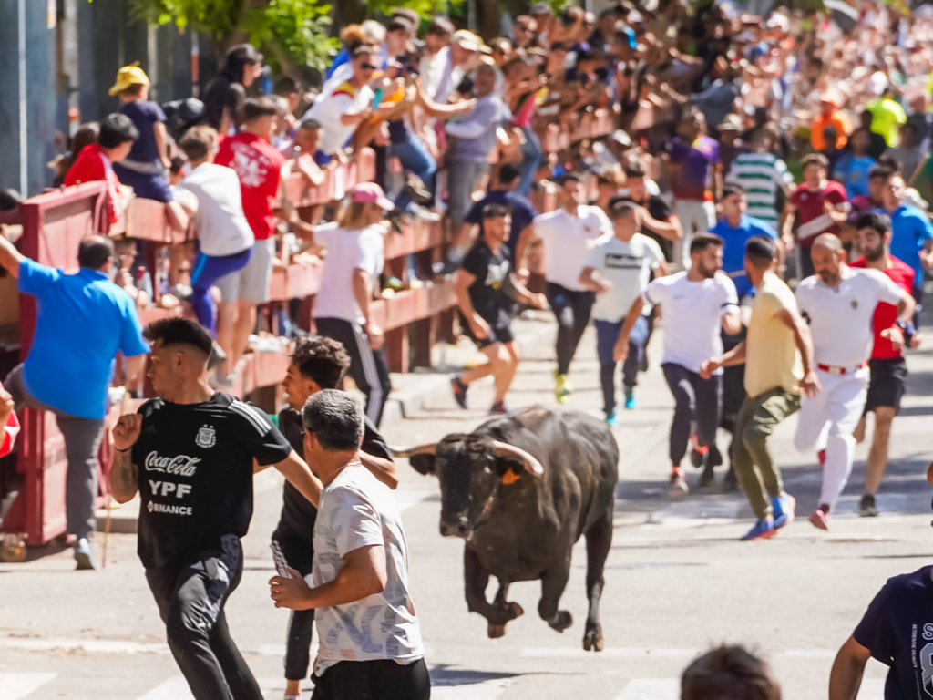 Vuelven los encierros de las Fiestas de Torrejón: horarios, normas y todo lo que necesitas saber