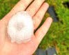 Una fuerte granizada sorprende a Madrid: «¿Granizo o bolas de golf?»