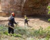 Guadalajara inicia la limpieza del río Henares y espera retirar 250 toneladas de residuos vegetales