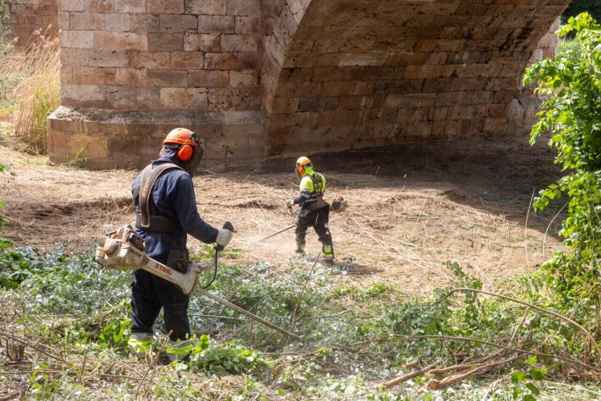 Guadalajara inicia la limpieza del río Henares y espera retirar 250 toneladas de residuos vegetales