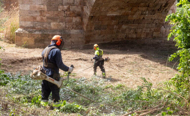 Guadalajara inicia la limpieza del río Henares y espera retirar 250 toneladas de residuos vegetales