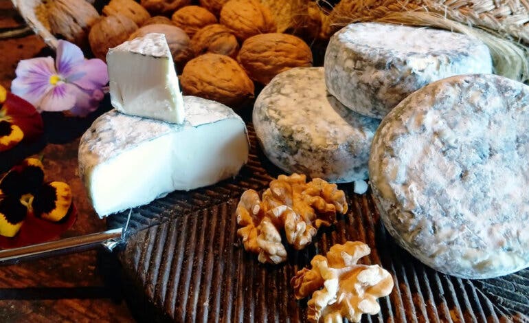 Este es el mejor queso de Madrid en 2025: se elabora en Aldea del Fresno