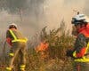 Estabilizado el incendio de Méntrida, que pudo ser provocado por una colilla