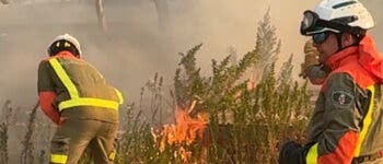 Estabilizado el incendio de Méntrida, que pudo ser provocado por una colilla