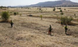 Torrejón realiza labores de desbroce en la Finca Soto Espinillo para prevenir incendios este verano